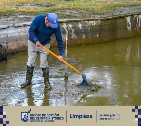 Limpian el lago de los patos de la Alameda