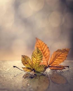 4.800 - REZA SIN MIEDO... 4.800 - REZA SIN MIEDO...