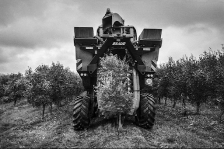 DE LA “REFORMA AGRARIA” A LA “EXPLOTACIÓN” AGRARIA Cuando...