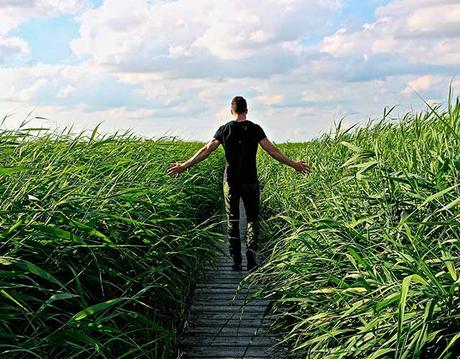 enfermedades de los testículos