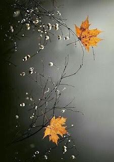 4.801 - VUELVE LA LLUVIA... 4.801 - VUELVE LA LLUVIA...