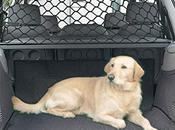 Barrera Coche Para Perros Carrefour Guía compra completa