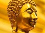 Invitación nuestro último Zazenkai 2021. noviembre