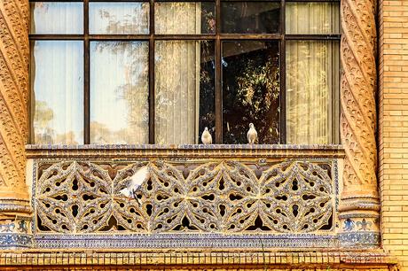 Palomas en el balcón - Fotografía