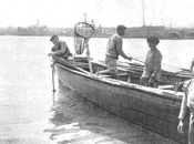 Santander 1908:pescadores sardinas