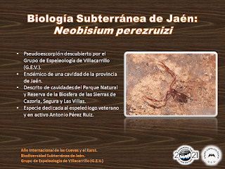 Biología Subterránea de Jaén (VIII)