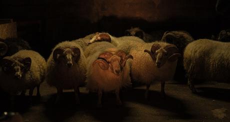 Lamb – La madre del cordero