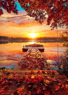 4.805 - VUELVE RECUERDO...