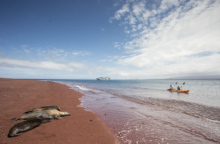 ¡Escapa de la rutina y suma experiencias de viaje a tu vida!