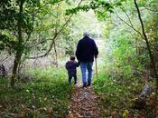 pensiones subirán 2,5% 2022 incremento marcará próxima ultima «paguilla» enero