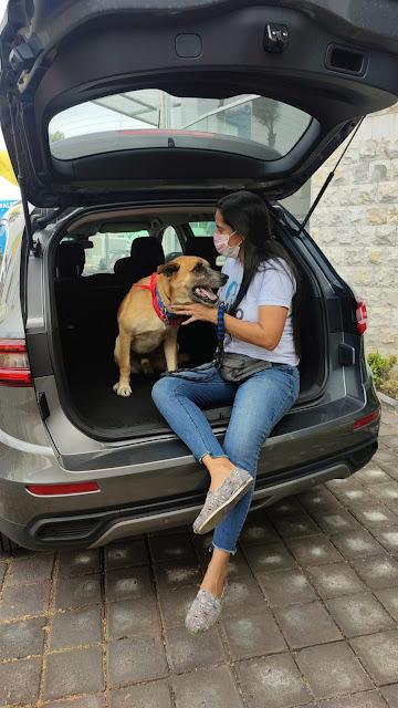 RENAULT GUAYAQUIL APOYA  LA LABOR REALIZADA POR  FUNDACIONES DE RESCATE ANIMAL