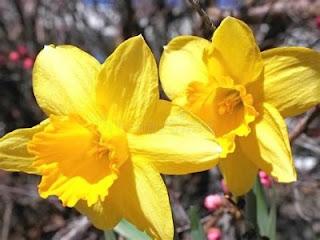 Diciembre el último mes gregoriano ¿Qué nos dice este año?