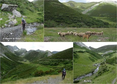 Tonín-Valle del Cuadro-Valverde-Valle de Aguazones-Valle de Riaño