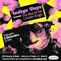 Concierto de Indigo Days en El Perro de la parte de atrás del coche
