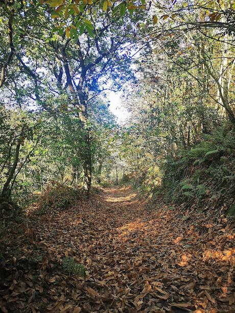 De la Regalina a la Punta Perceberos (Senda Costera en torno a Cadavedo) De la Regalina a la Punta Perceberos (Senda Costera en torno a Cadavedo)