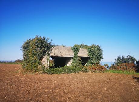 De la Regalina a la Punta Perceberos (Senda Costera en torno a Cadavedo) De la Regalina a la Punta Perceberos (Senda Costera en torno a Cadavedo)