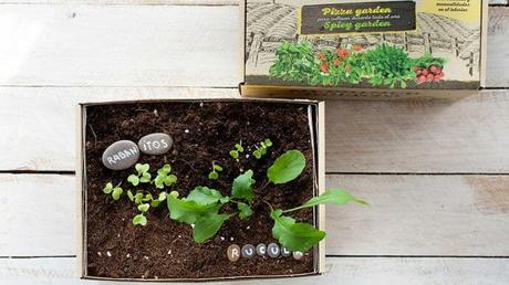 Regalos originales por menos de 20 euros para encargar a los Magos