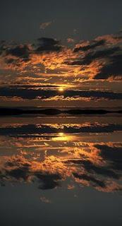 4.813 - CAEN LOS DÍAS...