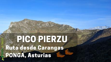 Pico Pierzu, Ponga