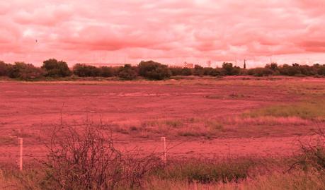 Localizan a persona ejecutada cerca de la Central de Abastos