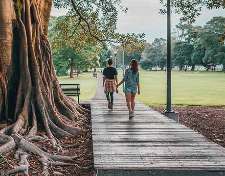 controlar los niveles de leptina