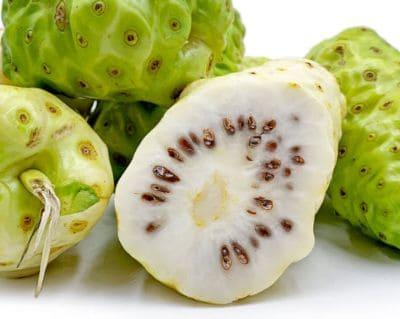 fruta noni