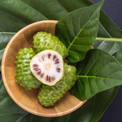 noni contraindicaciones