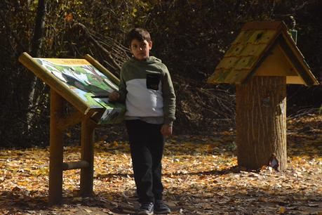 La Senda Mágica de Arroyomolinos