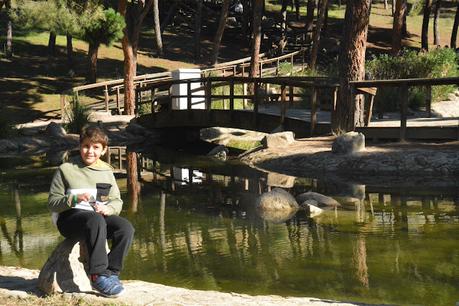 La Senda Mágica de Arroyomolinos