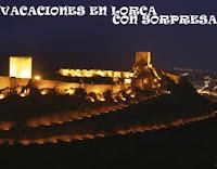 ACTUALIZANDO LA FICHA DE SOCIA Nº 8. MARI RIDAO: