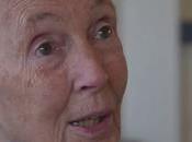 Sintiencia animal: ¿qué importa?