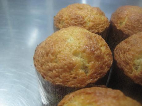 MAGDALENAS DE NAVIDAD