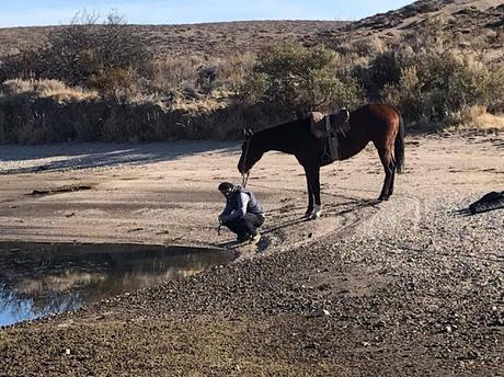 6 de diciembre: hoy se celebra el Día Nacional del Gaucho