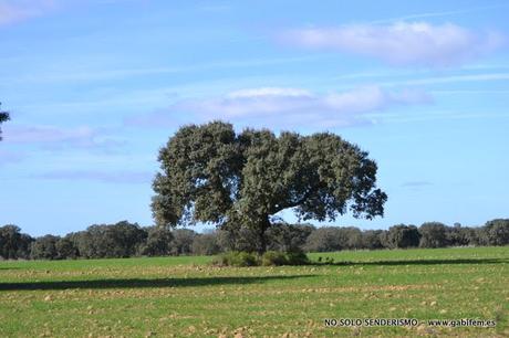 Ruta por Los Canchales Ruta por Los Canchales