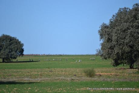 Ruta por Los Canchales Ruta por Los Canchales