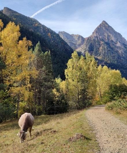 paisaje-pirineo-sant-maurici 