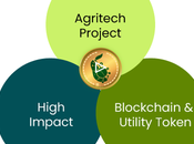 sustentable proyecto Blockchain Verde