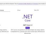 Como crear aplicacion Blazor