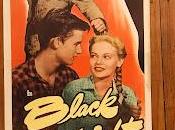 BLACK MIDNIGHT (USA, 1949) Vida Normal, Drama, Western