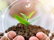 ecología convertido gancho comercial propagandístico