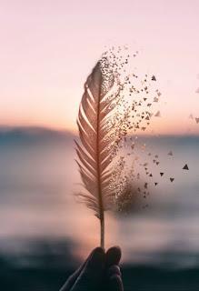 4.829 - ERA TU SOMBRA...