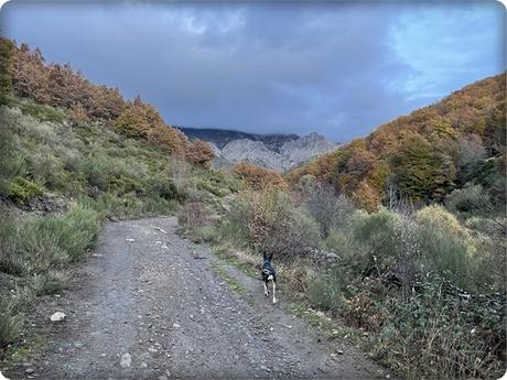El Ribero Pintado-Santamaria de Redondo