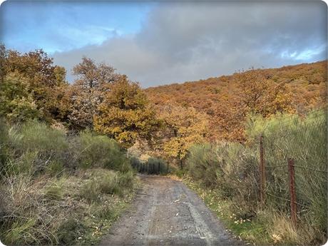 El Ribero Pintado-Santamaria de Redondo