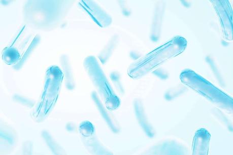 Tratamiento de microbiota con probióticos y prebióticos Tratamiento de microbiota con probióticos y prebióticos