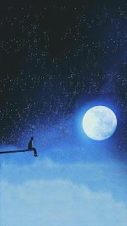 4.833 - PINTOR DEL CIELO...