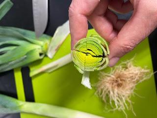 PASTEL DE CARNE  GLASEADO