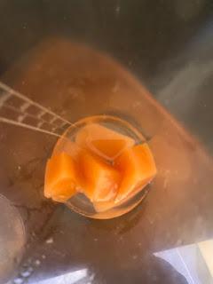 PASTEL DE CARNE  GLASEADO