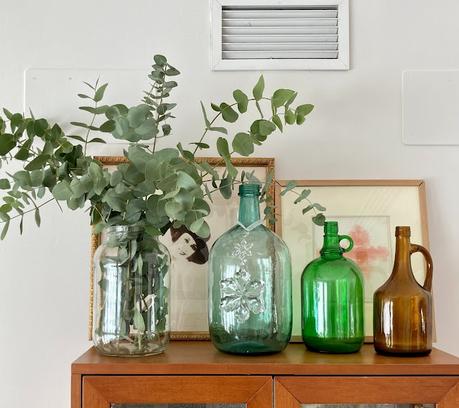 Descubriendo el eucalipto...