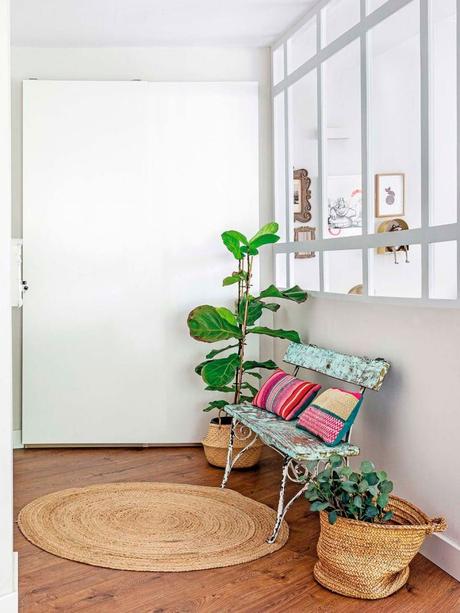 Descubriendo el eucalipto...