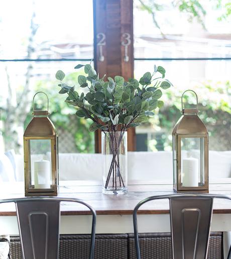 Descubriendo el eucalipto...